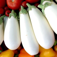 100+ CASPER WHITE EGGPLANT SEEDS ------------------ HEIRLOOM