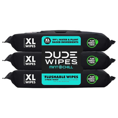 Flushable Wipes - 3 Pack, 144 Count - Mint Chill Extra-Large with -E, Aloe