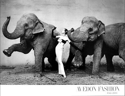 Dovima With Elephants（リチャード アベドン）アートポスター DOVIMA With the Elephants • by Avedon • on Sturdy, HQ 11mil