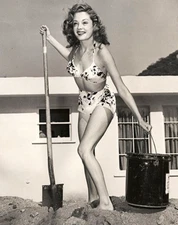 JANE GREER ACTRESS HOME IMPROVEMENTS 8"x10" Photograph