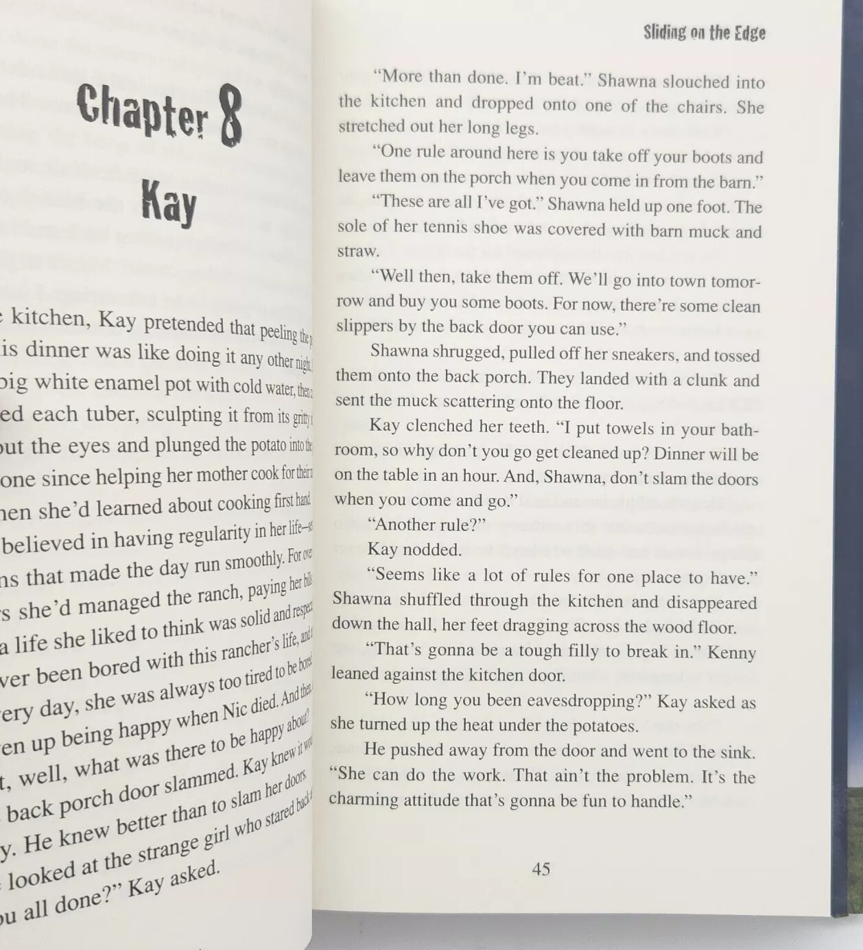 Sliding on the Edge By C. Lee McKenzie FIRST EDITION 2009 Hardcover Book thumbnail 17