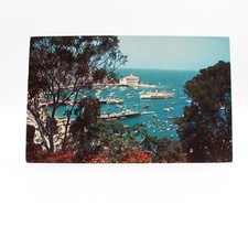 BOAT SCENE Avalon - Catalina Island - Los Angeles CA Ships