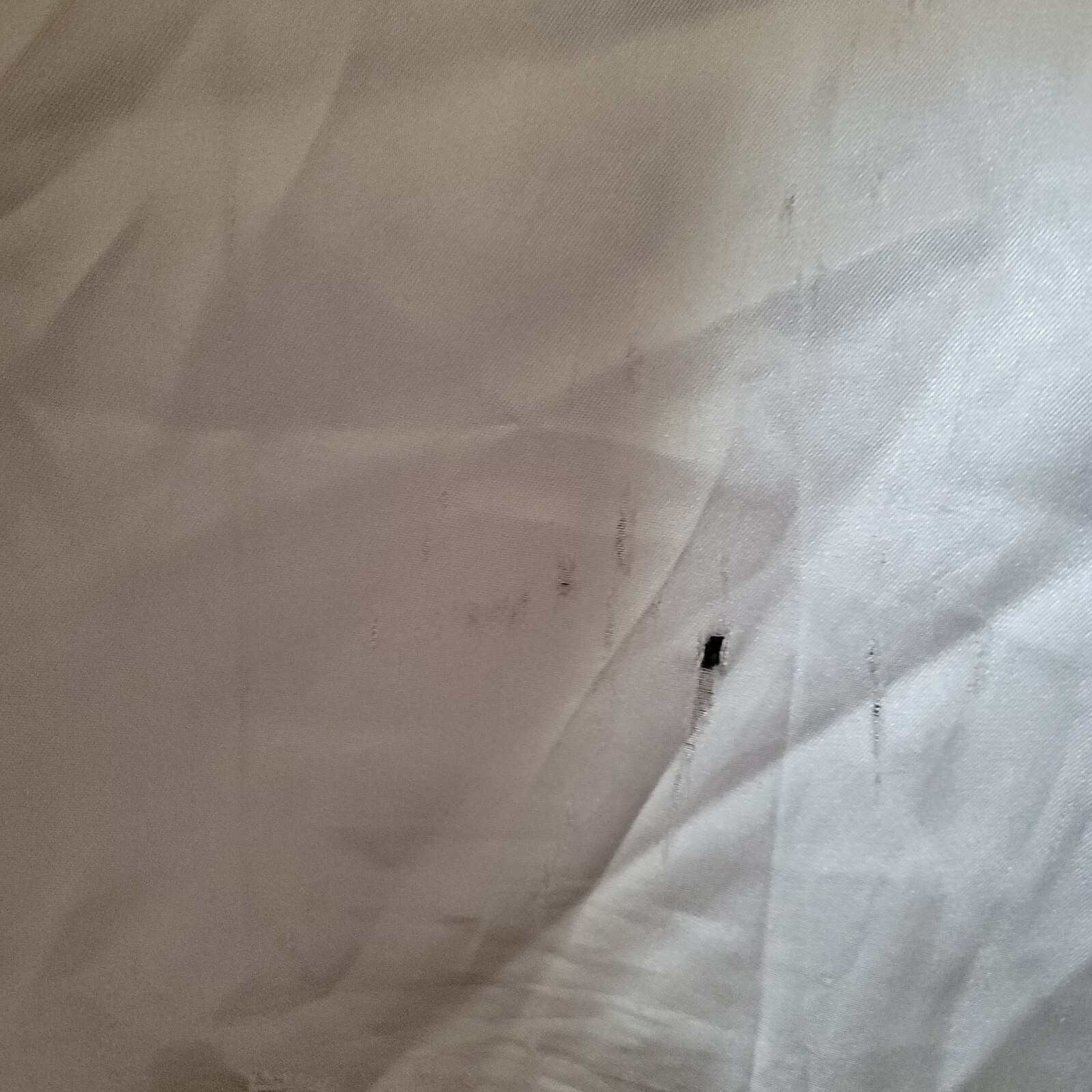 Picture 5 of 11
