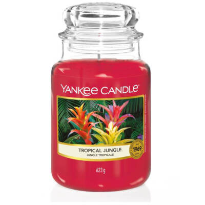 Yankee Candle Large Jar Großes Glas 623g verschiedene Düfte