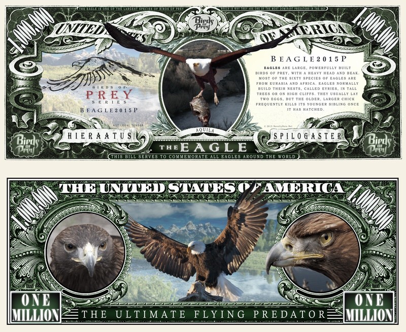 Eagle Birds Of Prey Novelty Dollar Bill comes In a Soft Polly Sleeve