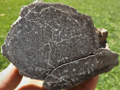 DIG-N-UTAH: DINOSAUR BONE  DINO  FOSSIL POLISHED  GEM  #F 687