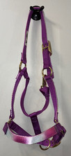 1'' WEAVER PURPLE AVERAGE NYLON HORSE HALTER 800 - 1100 GOLD TONE FITTINGS
