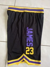 UNK Los Angeles Lakers Lebron James #23 NBA Shorts  Mens Nwt Size M POCKETS
