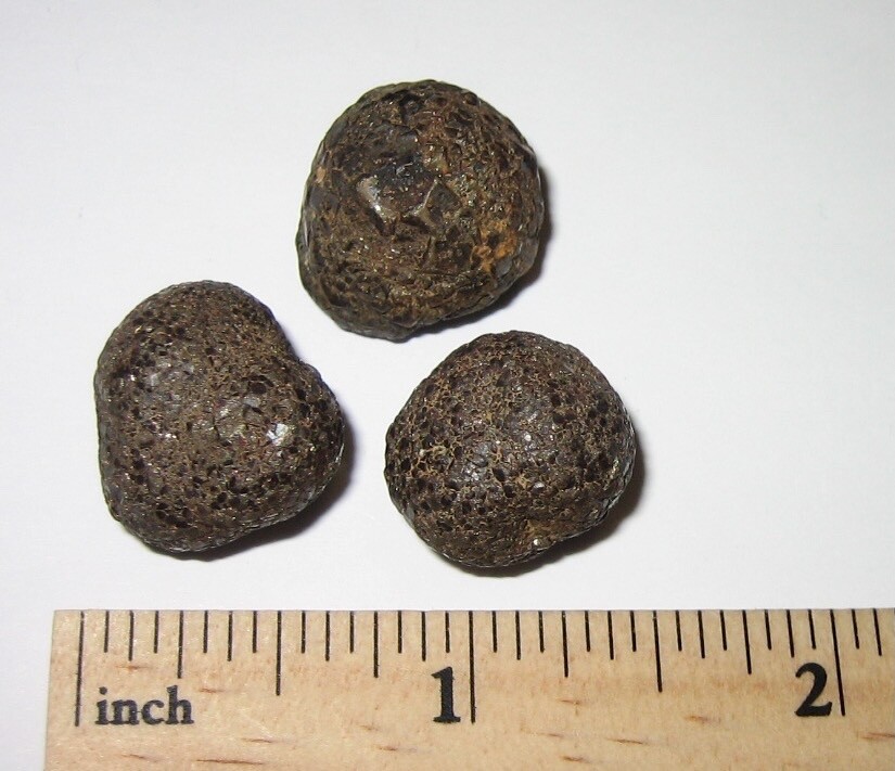 3 SMALL NATURAL 0.55"- 0.6" RARE 'PROPHECY STONE' MINERALS PAKISTAN 31.2grams *3