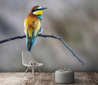 3D Yellow Bird ZHU1065 Wallpaper Wall Mural Removable Self-adhesive Zoe 