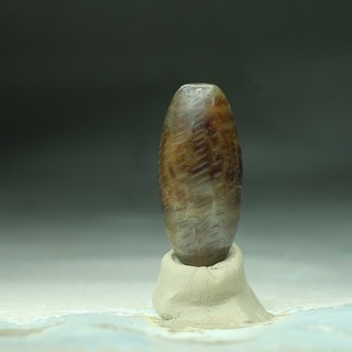 Tibetan Old Dzi Agate Bead "2Eyed" Amulet Pendant from Tibet 46101