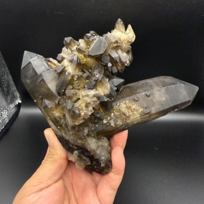 1026g Large Natural Smoky Quartz Cluster | Big Multi-Terminated Crystal Specimen