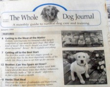 Whole Dog Journal 1999 Vol 2 Natural Dog Care Training Full Year Vtg Lot of 12