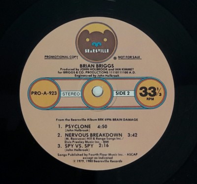 RARE* BRIAN BRIGGS: Sampler LP Promomotional Copy AEO PART 1 & 2