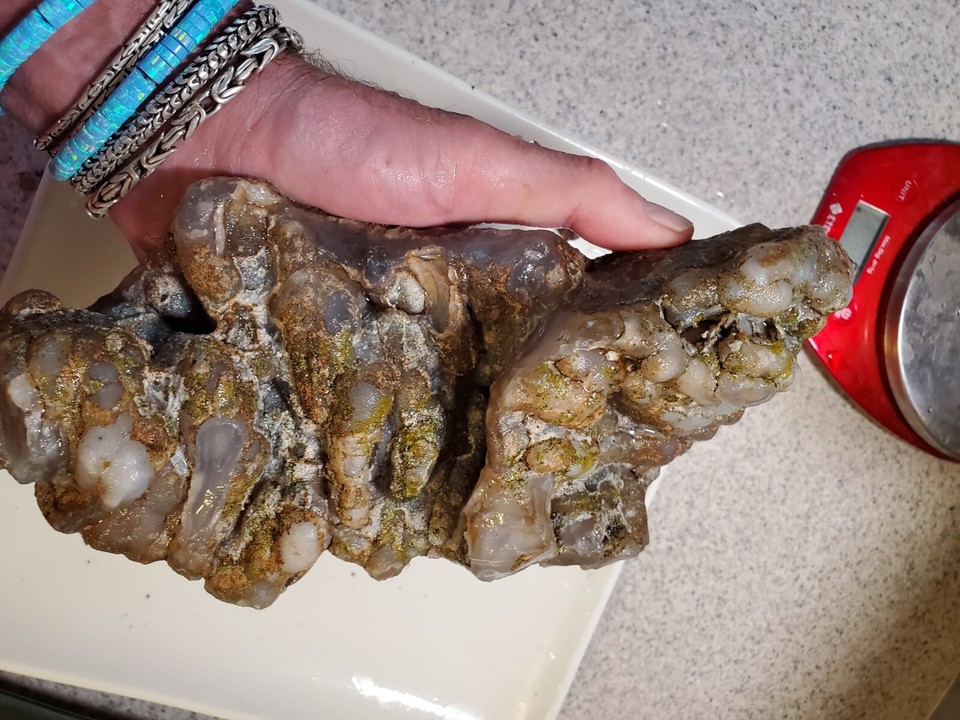 AA++ San Carlos Banded Druzy Bullseye Tube Stalactite Agate Mexico