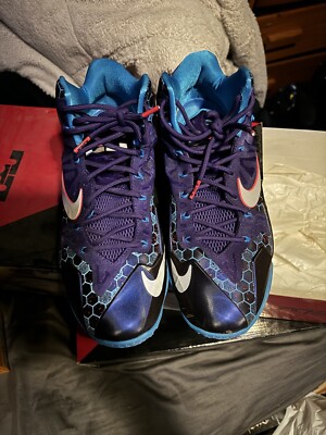 Size 11 - Nike LeBron 11 Hornets