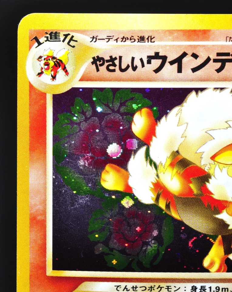 Light Arcanine No.059 Neo Destiny Old Back Holo Excellent Japanese Pokemon Card - Image 4 of 4