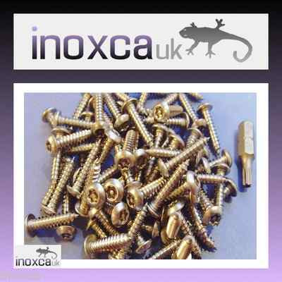 TORX KNOPFKOPF HOLZSCHRAUBEN MANIPULATIONSSICHER STIFT A2 EDELSTAHL + TX20 T20 BIT