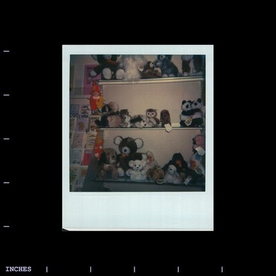 Old Polaroid Photo SHELF WITH TOYS STUFFED ANIMALS