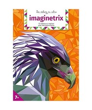 Imaginetrix - cahier avec autocollants: 12 tableaux � r�aliser avec des autoco