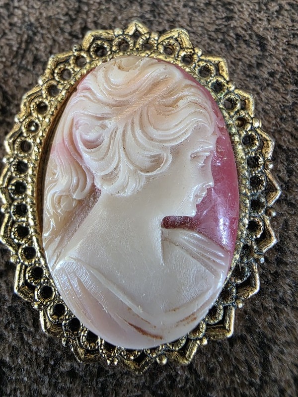 Gorgeous Vintage Our Lady of the Snows Cameo brooch