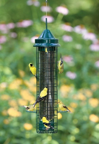 Squirrel-proof Bird Feeder Metal 2.4lb Thistle Seed Capacity Hanging Use Outdoor - Picture 3 of 4