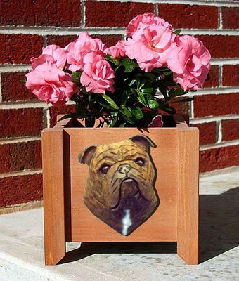 Bulldog Planter Flower Pot Brindle