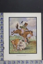 1909 TEDDY BEAR EQUESTRIAN HORSE SPORT ROOSEVELT BOOK FARM COW PRINT RC058