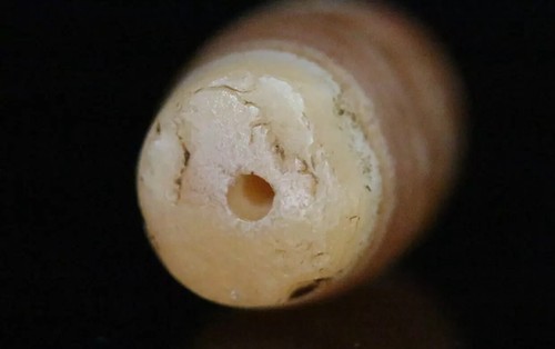 Rare Ancient Indus Valley Solemani Agate Carnelian Beads 18mm 3.4g Himalayan - Picture 4 of 8