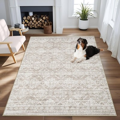 Area Rug 3x5 Geometric Rug: Washable Boho Moroccan Rugs Soft Farmhouse Rug, M...