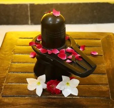 2"Marble Stone Lord Shiva Shivling Idol Hindu Shivratri Puja God Mahakal Adiyogi