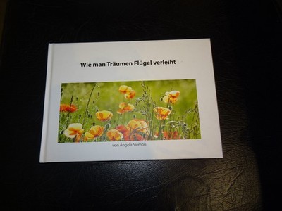 Angela Siemon  wIe man Träumen Flügel verleiht    2010    Neustadt an der Donau