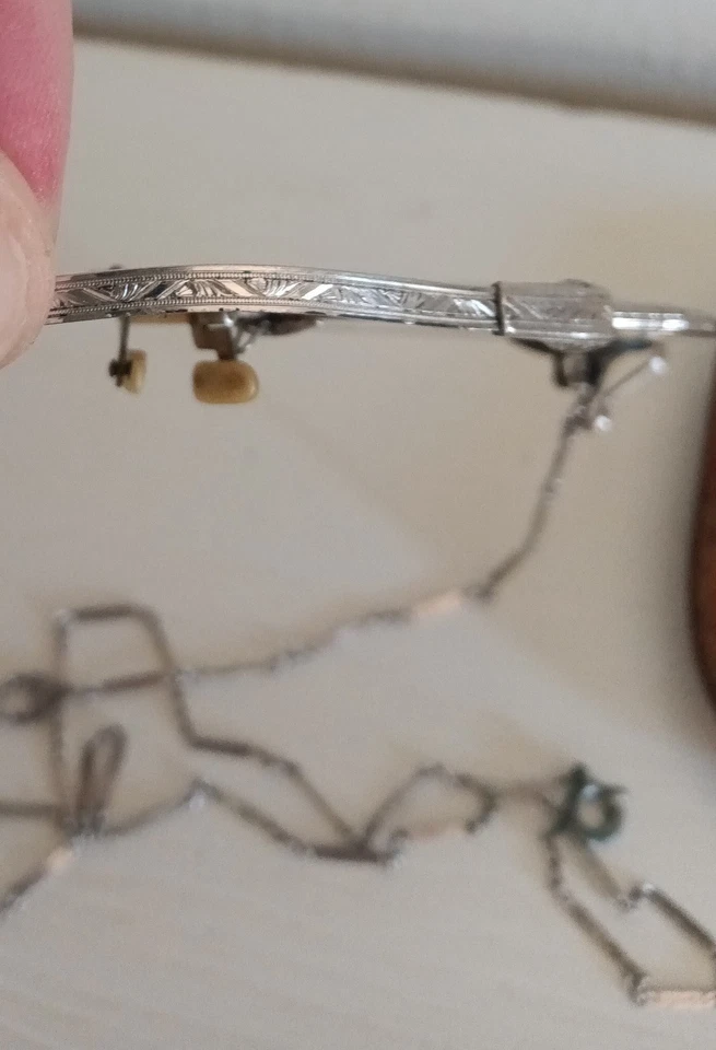 Antigua cadena de marcos de relleno de oro blanco de 12 quilates Pince-Nez de la década de 1920 con estuche Foto 3 de 4