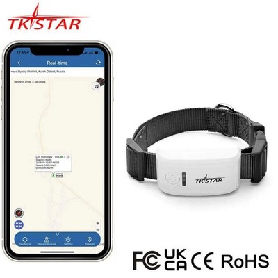 2G GSM GPS Tracker Pet TK909 GPS Locator TKSTAR Mini GPS Pets Tracker 2G GSM Bes