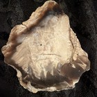 Petrified Wood Slab Rock/Mineral Specimen Display Piece — photo 1