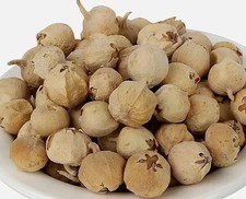 Natural Panner DODI Indian Paneer Doda Paneer Ke Phool 100-1000g