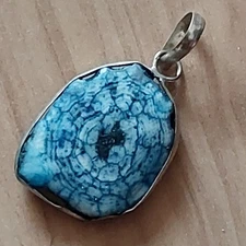 Petrified Wood Pendant