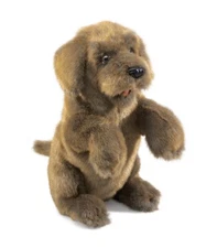 Folkmanis Sitting Dog Hand Puppet, Brown