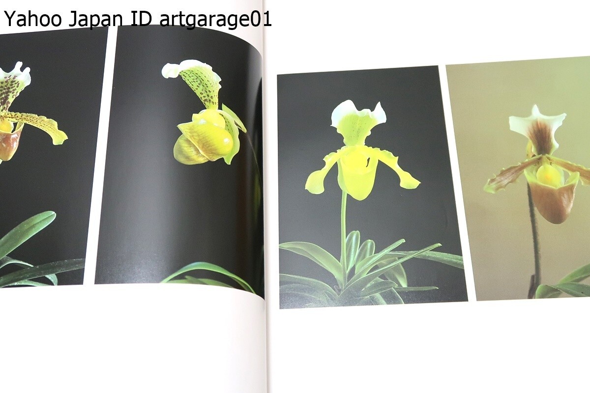 ORCHID ATLAS BY DR. KOHJI KARASAWA Set of 6 From Japan Rare | eBay