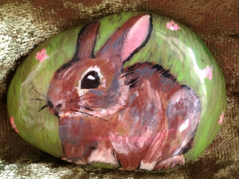 Rabbit in Clover