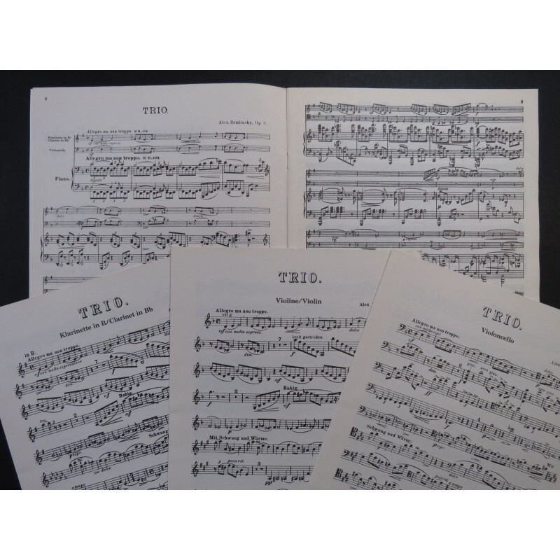 Zemlinsky Alexander Trio Op 3 Piano Or Violin Cello eBay