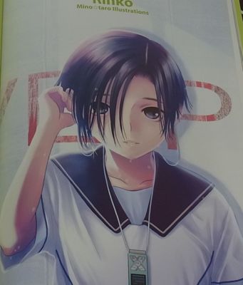 Mino Taro Illustrations Rinko Love Plus Hard Cover Art Book | eBay