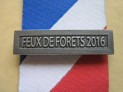 2016 Silver Metal Forest Fire Staple Homeland Security Medal 