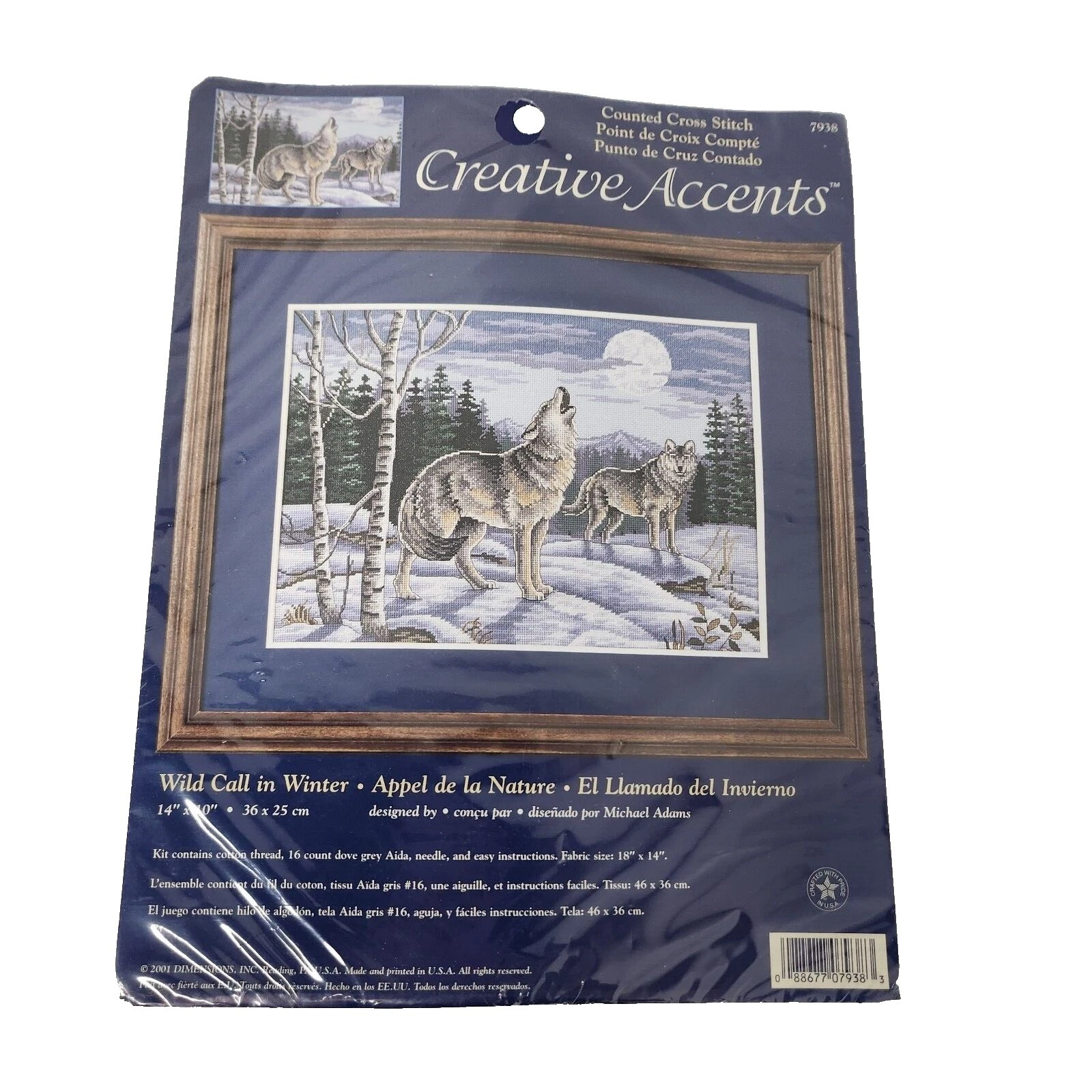 Foto Enmarcada Kits de Punto de Cruz