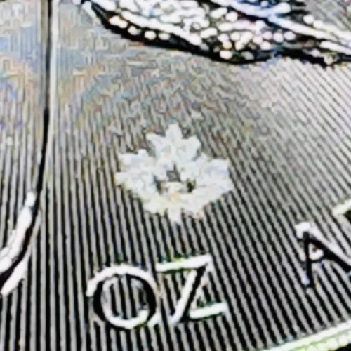 2020 Canada Silver Maple Leaf Reverse Proof * Maple Leaf Privy * Free Capsule - Picture 4 of 5