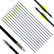 12x 30" Arrow Fletched Archery Fiberglass SP300 Shooting Hunting Target Practice
