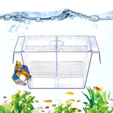 Fish Breeding Box Acrylic Fish Isolation Box with Suction Cups, Medium Size