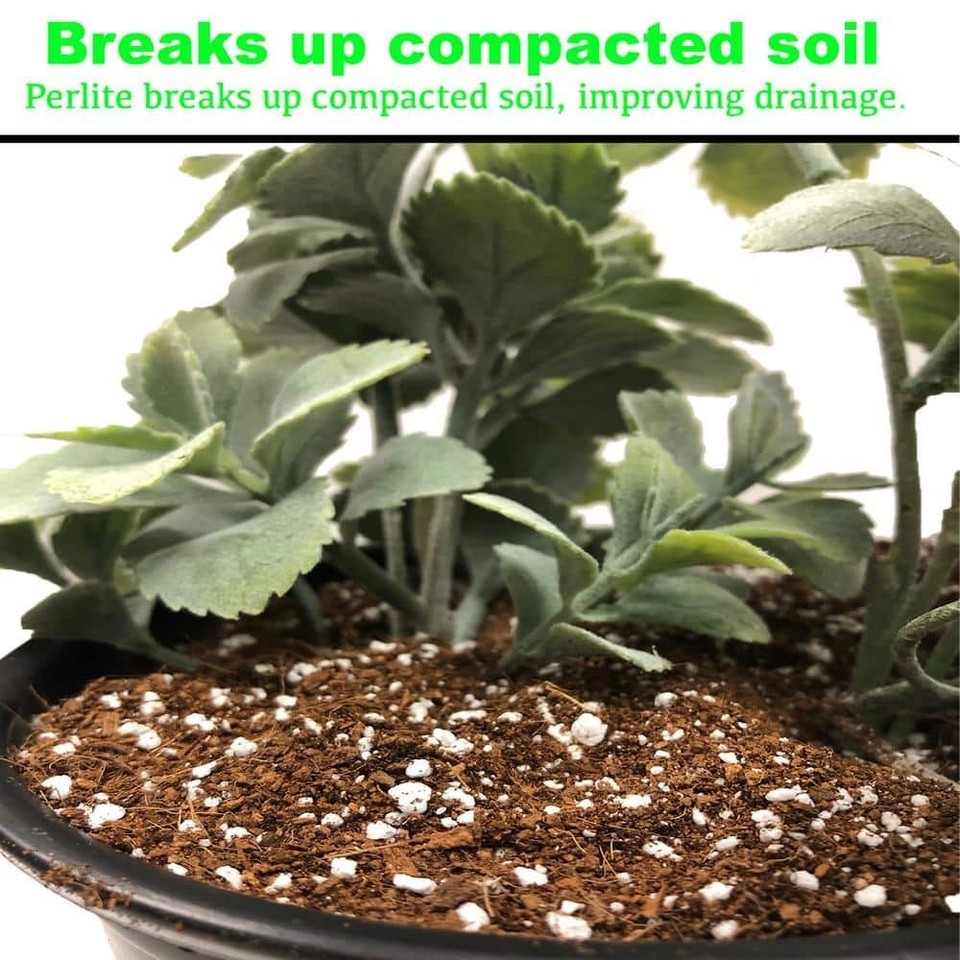 New 4 Cu. Ft. Perlite Gardening Greenhouse Growing Media Compost ...