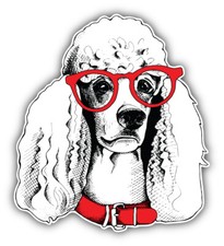 Fashion Poodle Dog Face Sketch Car Bumper Sticker Decal