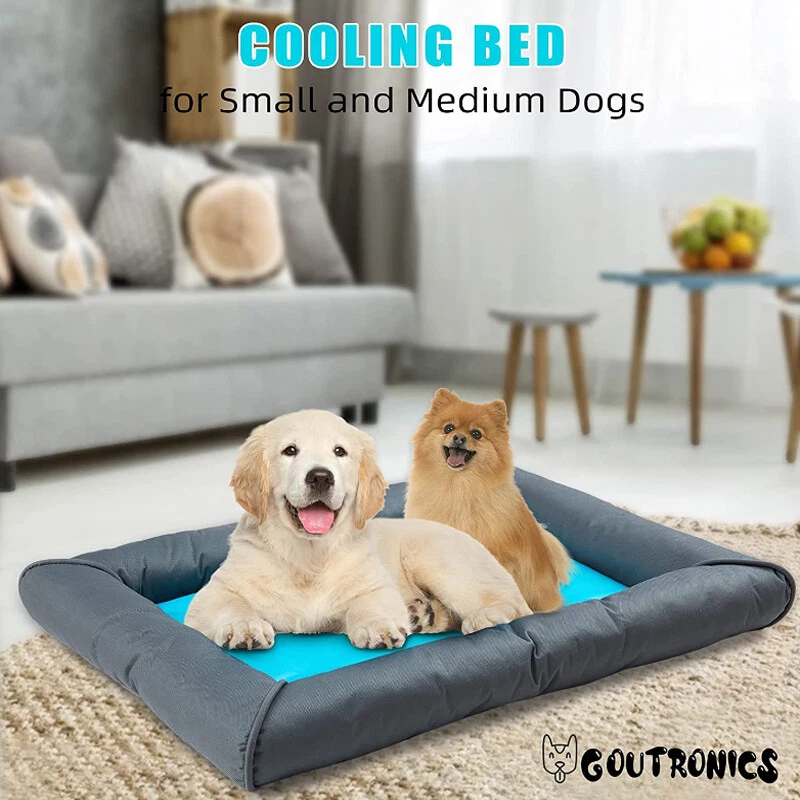 Waterbed couch on sale